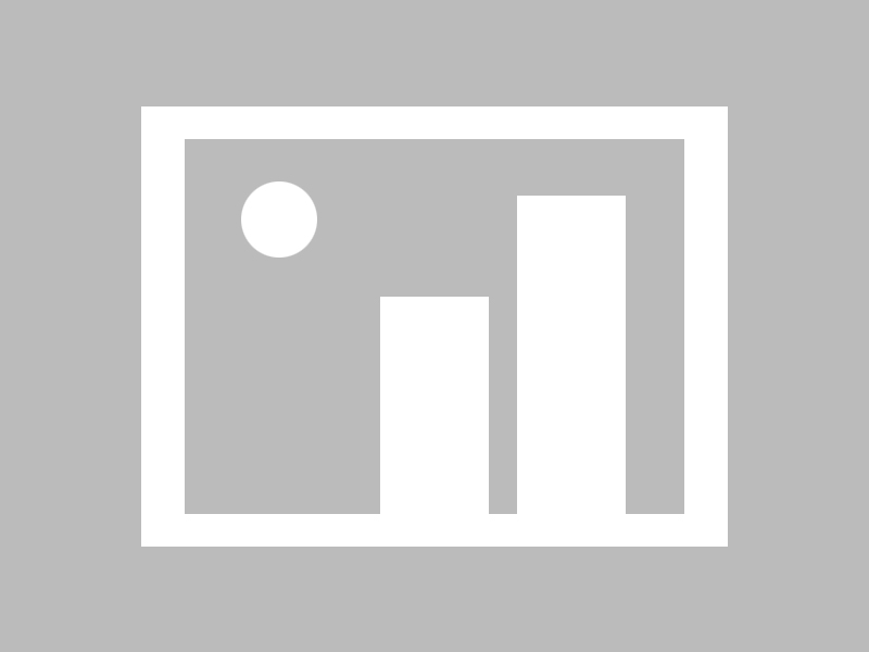 Jiu You-高温酷跑：极端天气对赛车性能的挑战