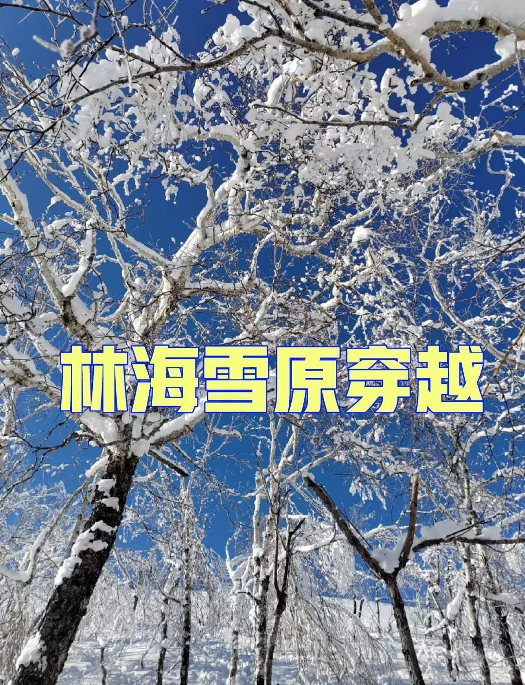 冬季飘雪徒步穿越,体验雪原的纯净与静谧的简单介绍 冬季飘雪徒步穿越,体验雪原的纯净与静谧的简单介绍