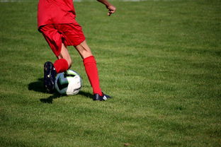 九游网-青训球员选拔机制存在结构性偏见，青训选拔喜欢那种球员