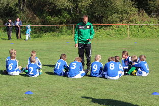 九游-欧洲杯冠军悬念：战术配合与个人能力巅峰对决，欧洲杯冠军大热门